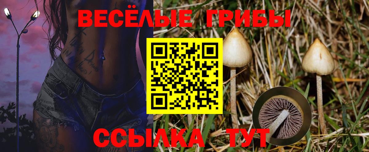 Южно-Сахалинск  Галлюциногенные грибы MAGIC MUSHROOMS  Псилоцибиновые грибы мицелий  где продают   Вход с VPN 