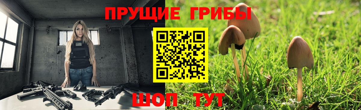 Галлюциногенные грибы Psilocybine cubensis Южно-Сахалинск